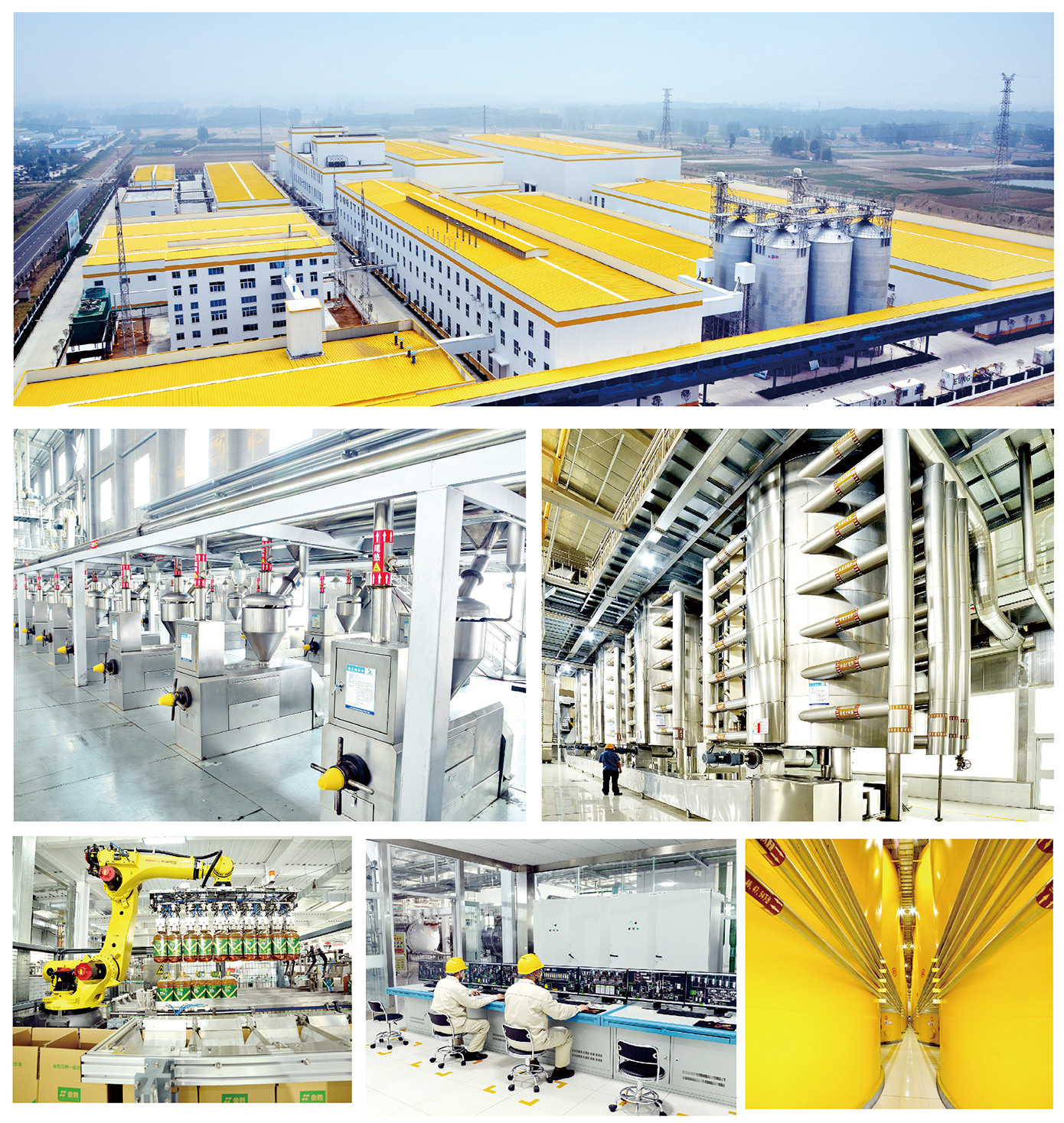 金勝糧油公司 金勝糧油公司