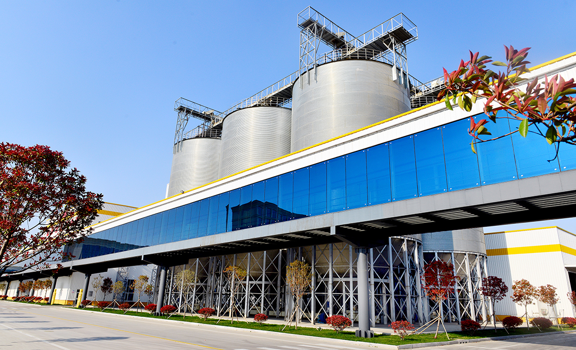 DSC_2767.jpg DSC_2767.jpg