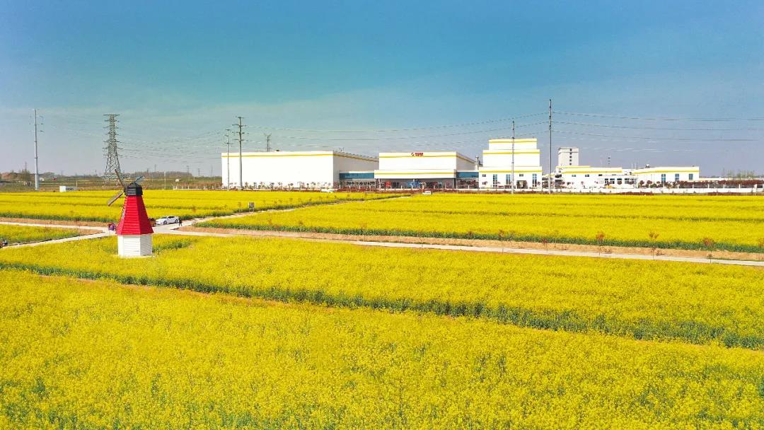 微信圖片_20210522170350.jpg 微信圖片_20210522170350.jpg