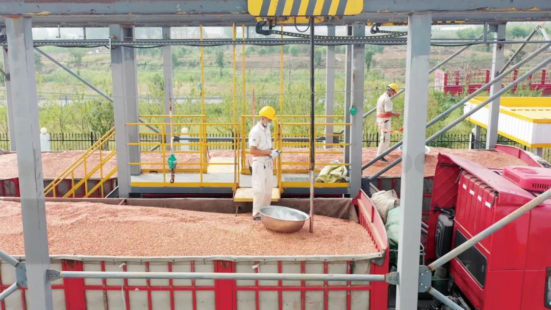 微信圖片_20210925100019.jpg 微信圖片_20210925100019.jpg