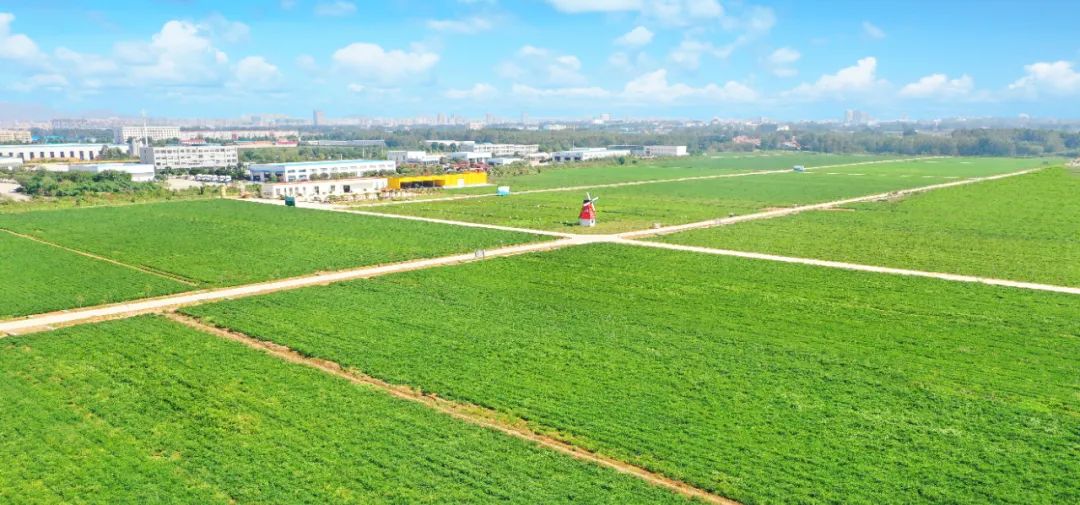 微信圖片_20220808142735.jpg 微信圖片_20220808142735.jpg